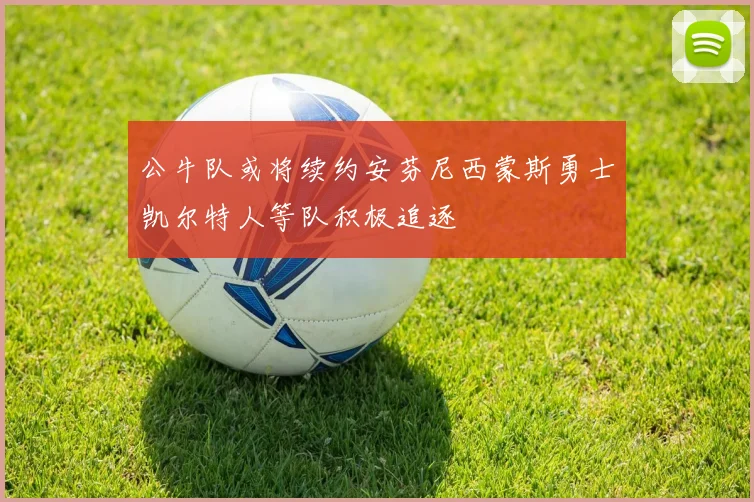公牛队或将续约安芬尼西蒙斯勇士凯尔特人等队积极追逐
