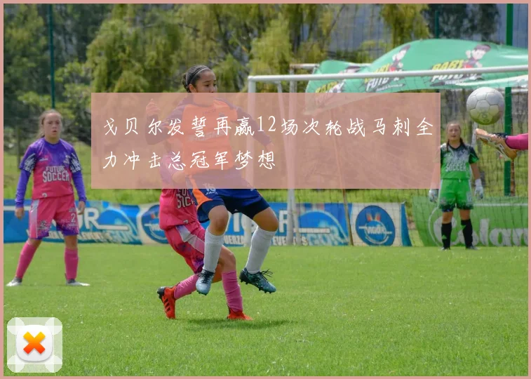 戈贝尔发誓再赢12场次轮战马刺全力冲击总冠军梦想