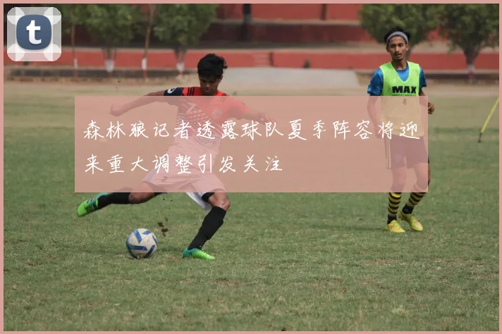 森林狼记者透露球队夏季阵容将迎来重大调整引发关注